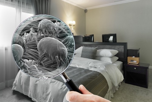 Chia sẻ kinh nghiệm cách thức vệ sinh, chăm sóc giặt giày, áo quần hữu ích