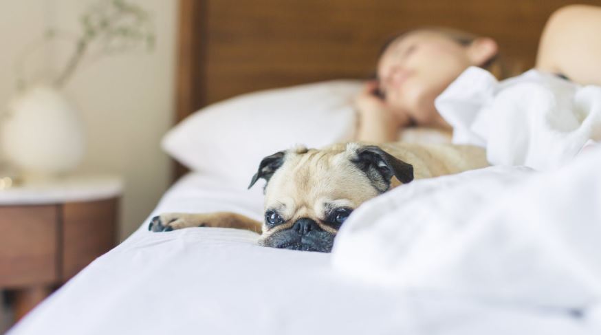 Chia sẻ kinh nghiệm cách thức vệ sinh, chăm sóc giặt giày, áo quần hữu ích