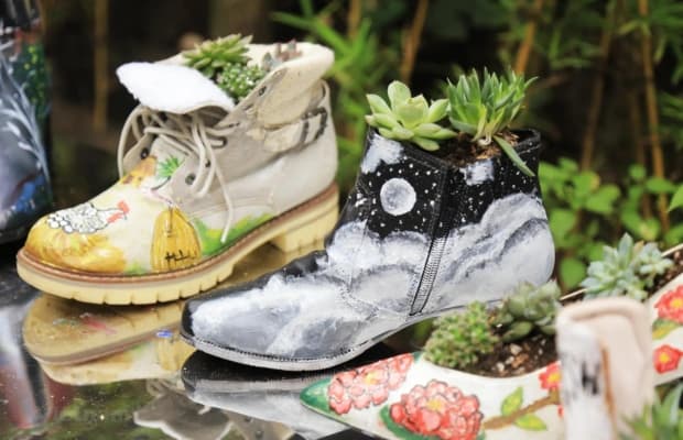Cách tái chế giày - Làm chậu cây trang trí