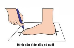 Cách đo size giày - Phác thảo kích thước chân