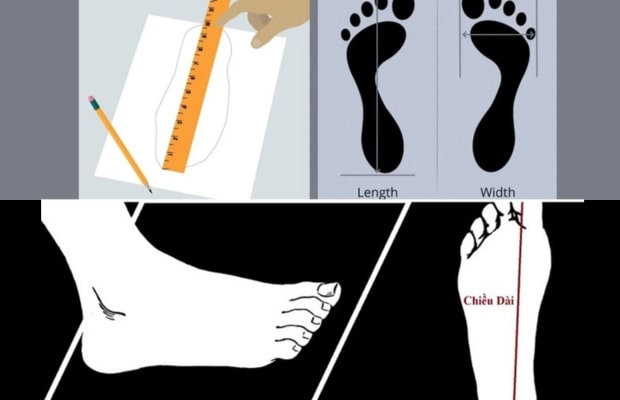 Cách đo size giày - Tại sao phải biết cách đo size giày?