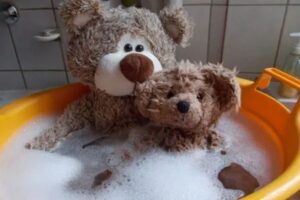 Cách giặt gấu bông - Tháo gòn gấu lớn trước khi giặt